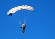 开云体育中国官网-萨内单节爆发点燃阿尔及利亚，非洲雄鹰用荷兰方式击碎郁金香