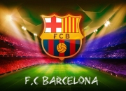 开云体育APP下载-努涅斯关键一击，比利时一波带走阿根廷的战术革命