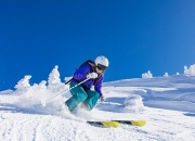 开云下载-黄蜂蛰伏带走独行侠，戈贝尔化身关键先生重塑比赛逻辑