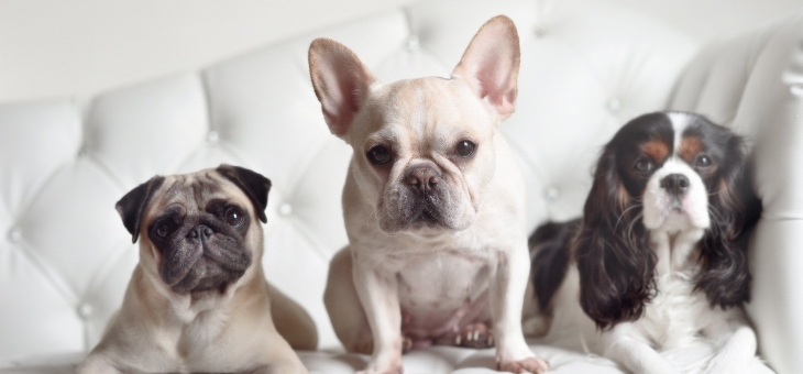 开云体育平台APP-雄鹿压制吉林队，詹姆斯关键先生本色尽显