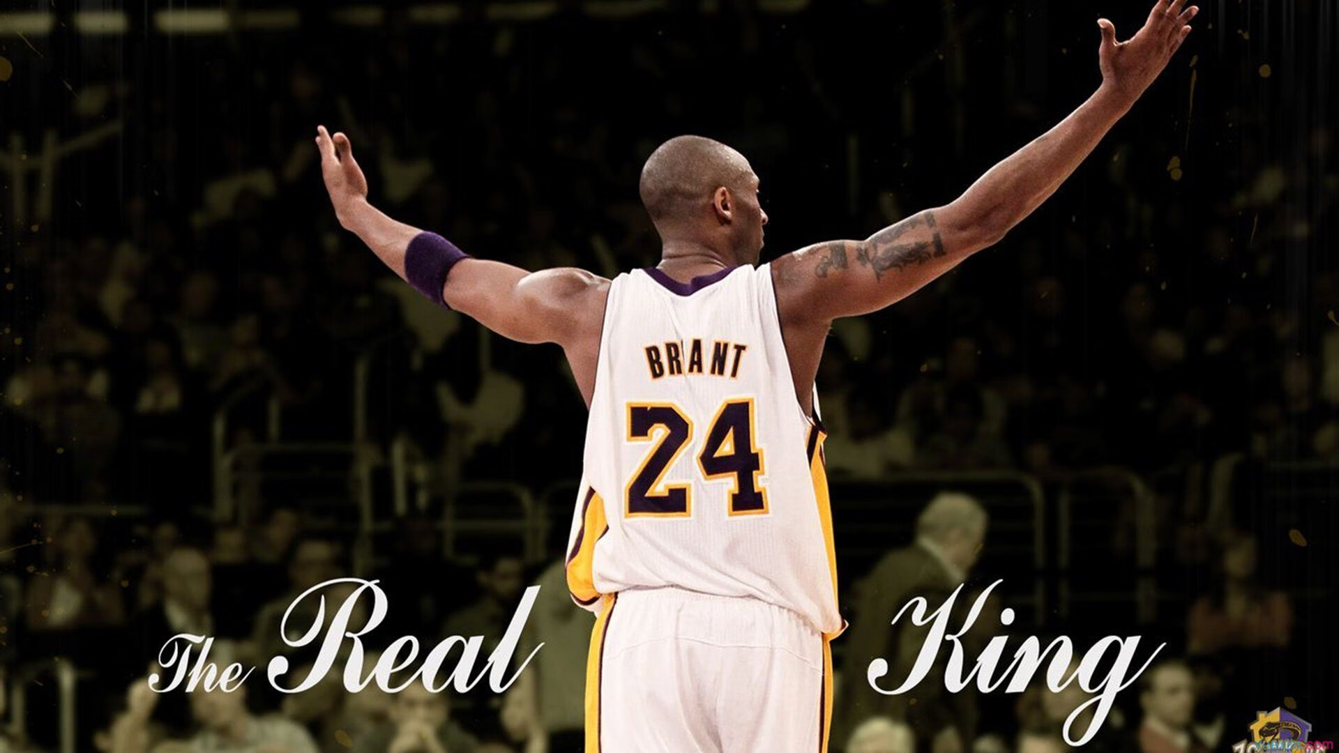 赛道与球场，当F1新赛季的轰鸣遇见CBA的激情血拼