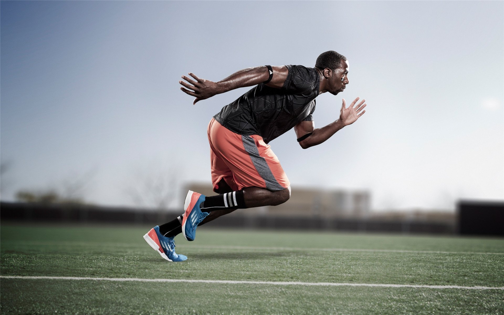 赛道风云，红牛车队横扫索伯，诺里斯惊艳四座